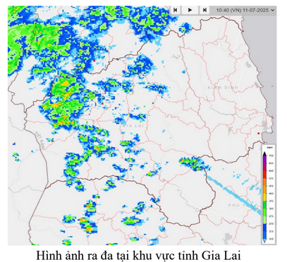 dong 202507 11 11h00